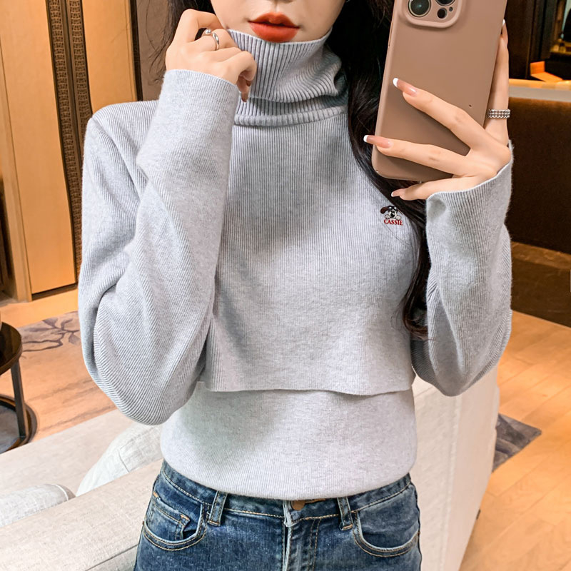 Imetav top sügisel-talvel kapuutsiga, kits lõige, pikkade varrukatega, imetamisavaga, pool kõrge kaelus, pikkus 50–65 cm