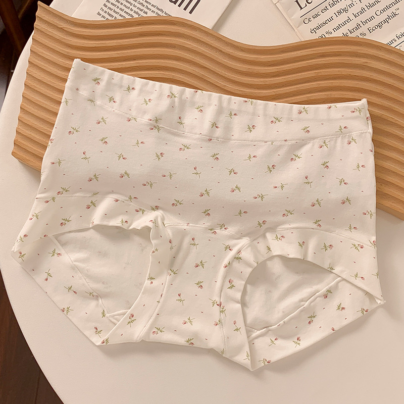 Γυναικείες boxer briefs υψηλής μέσης από 100% βαμβάκι, αντιβακτηριακές, διαπνέουσες και γρήγορα στεγνές; επένδυση καβάλου 100% βαμβάκι; περιεκτικότητα κύριου υφάσματος 90–95% βαμβάκι; προέλευση Shantou