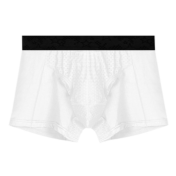 Ανδρικά εσώρουχα με στήριξη όρχεων και διαχωρισμό σε στιλ bullet, Ice Silk θήκη για φλεβικούς κιρσούς | διαπνοή, βισκόζη, πλεκτό ύφασμα, επένδυση νάιλον, μέση μεσαία