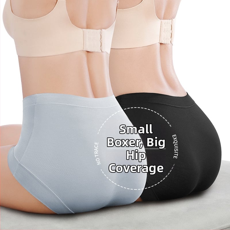 Moteriškos modalinės kelnaitės su aukštu juosmeniu, antibakterinės ir kvėpuojančios, be siūlių, 100% medvilnės įdėklas