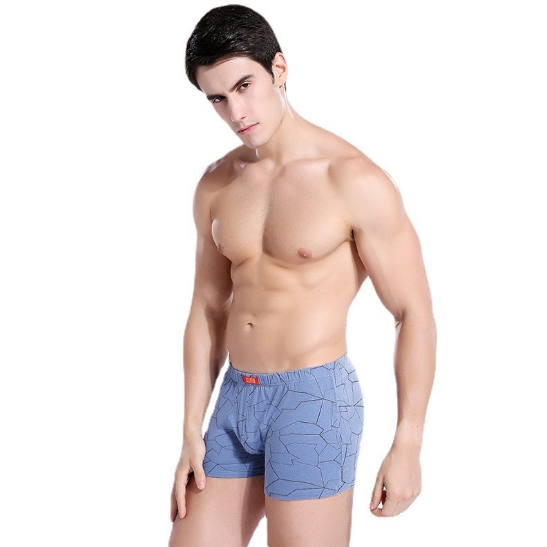 Vyriniai medvilniniai boxeriai, 2 vnt., U-formos kišenė, vidutinio juosmens, orui laidūs, geometrinis raštas, 95% medvilnė