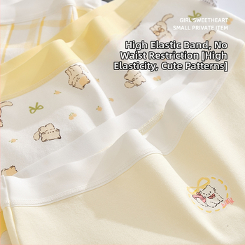 Tüdrukute puuvillased aluspüksid ilma õmblusteta Class A puuvill 8+ aastat