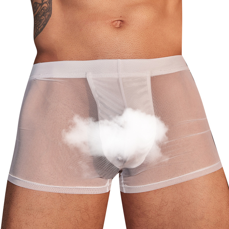 Temptation of desire Vyrų apatiniai su U formos kišene, odai draugiški, kvėpuojantys, ultra ploni, audinys 4D milk silk nylon