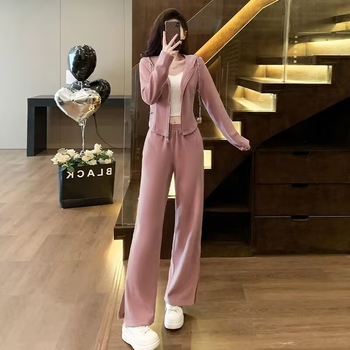 Costum casual feminin din două piese cu pantaloni, poliester, culoare uni, conținut poliester 70–80%, toamnă 2024, stil japonez-coreean de relaxare