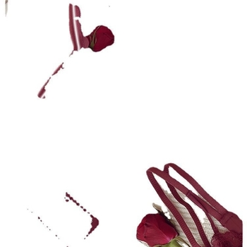 Бюстгальтер за малък бюст с поддържащ ефект, без метална тел, найлонова материя, чашки Rabbit Ear Cup, задно триредово закопчаване, стил 3/4