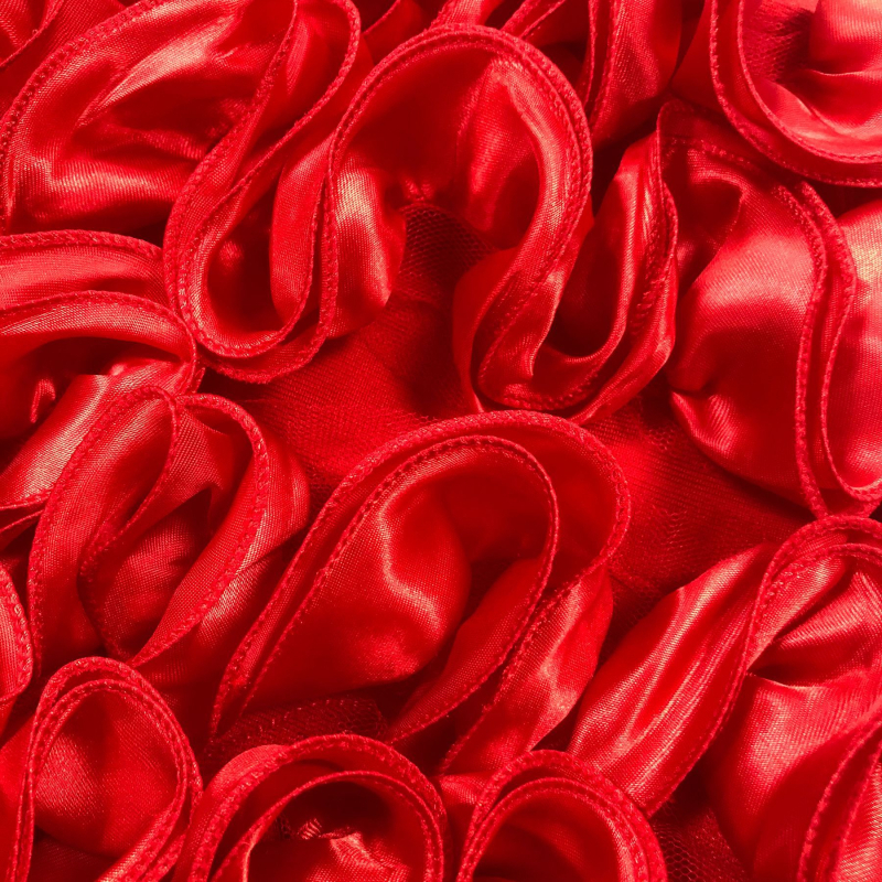 Suknelių kostiumas be rankovių, siuvinėjimas, vientisas raštas, poliesteris su elastanu, 2025 m. pavasaris, mielas mergaitiškas stilius