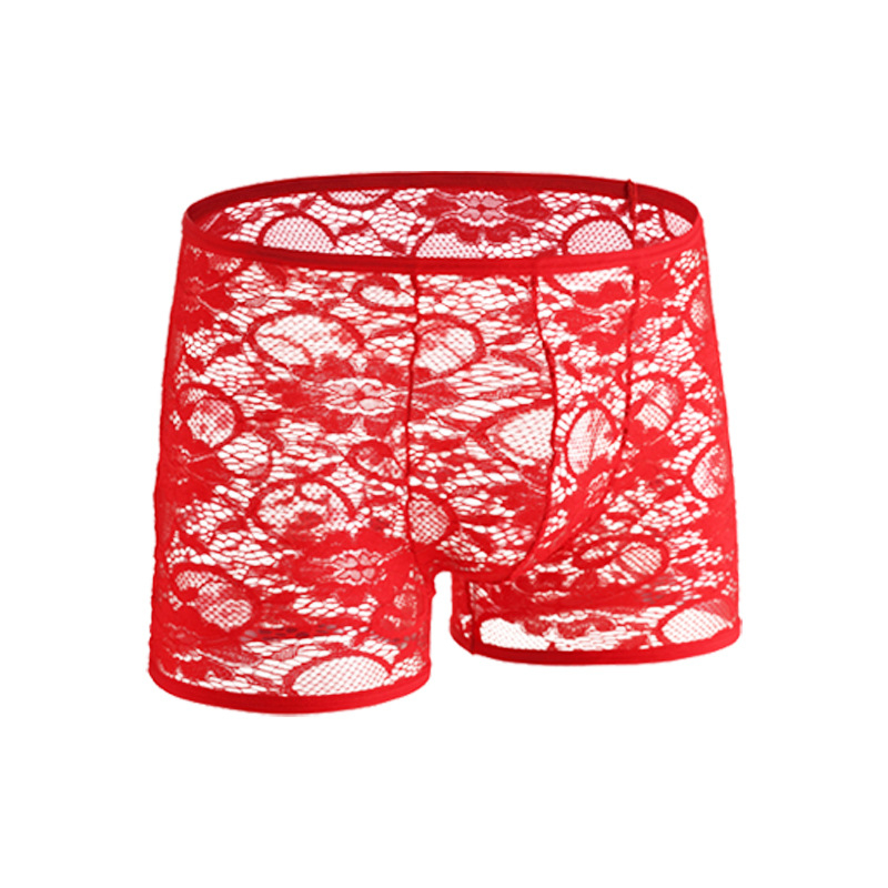 Muške čipkaste bokserice s niskim strukom, prozračne, najlon pletene, U-pouch dizajn