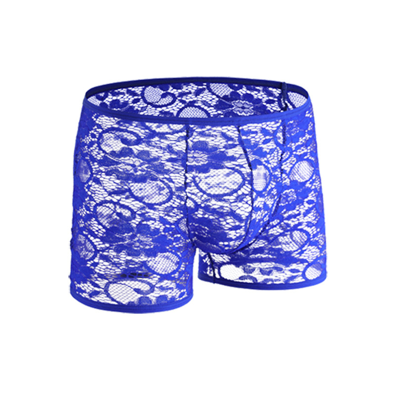 Muške čipkaste bokserice s niskim strukom, prozračne, najlon pletene, U-pouch dizajn