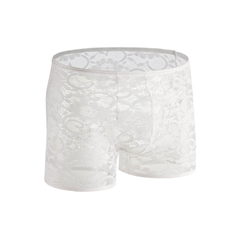 Muške čipkaste bokserice s niskim strukom, prozračne, najlon pletene, U-pouch dizajn