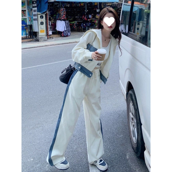 Ženski kostim sa suknjom, akrilna vlakna, duga suknja, flutter rukav, jesen 2024