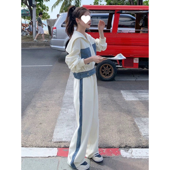 Ženski kostim sa suknjom, akrilna vlakna, duga suknja, flutter rukav, jesen 2024