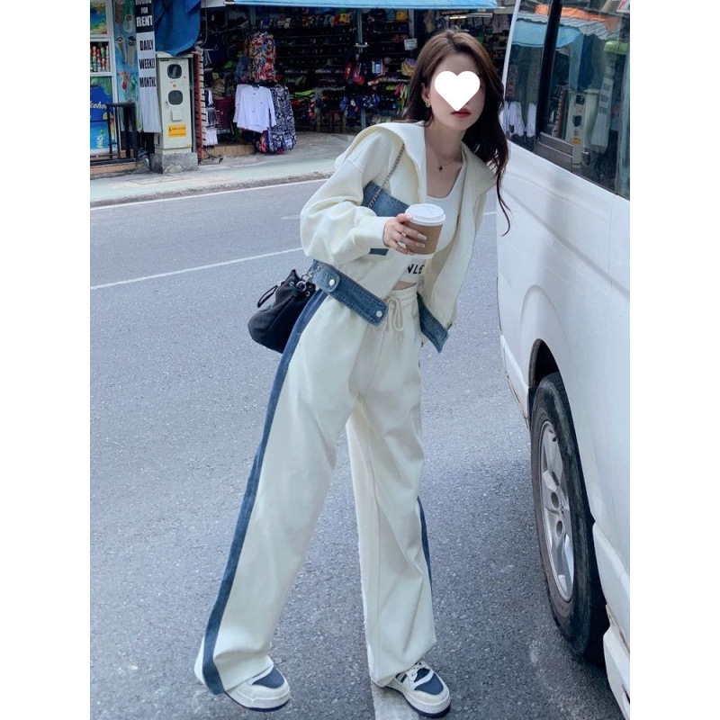 Ženski kostim sa suknjom, akrilna vlakna, duga suknja, flutter rukav, jesen 2024