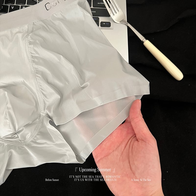 Muške boxerice s povećanim džepom, prozračne Ice Silk najlonom, podstava prepona od viskoze, 61-70d