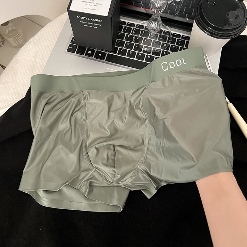 Muške boxerice s povećanim džepom, prozračne Ice Silk najlonom, podstava prepona od viskoze, 61-70d