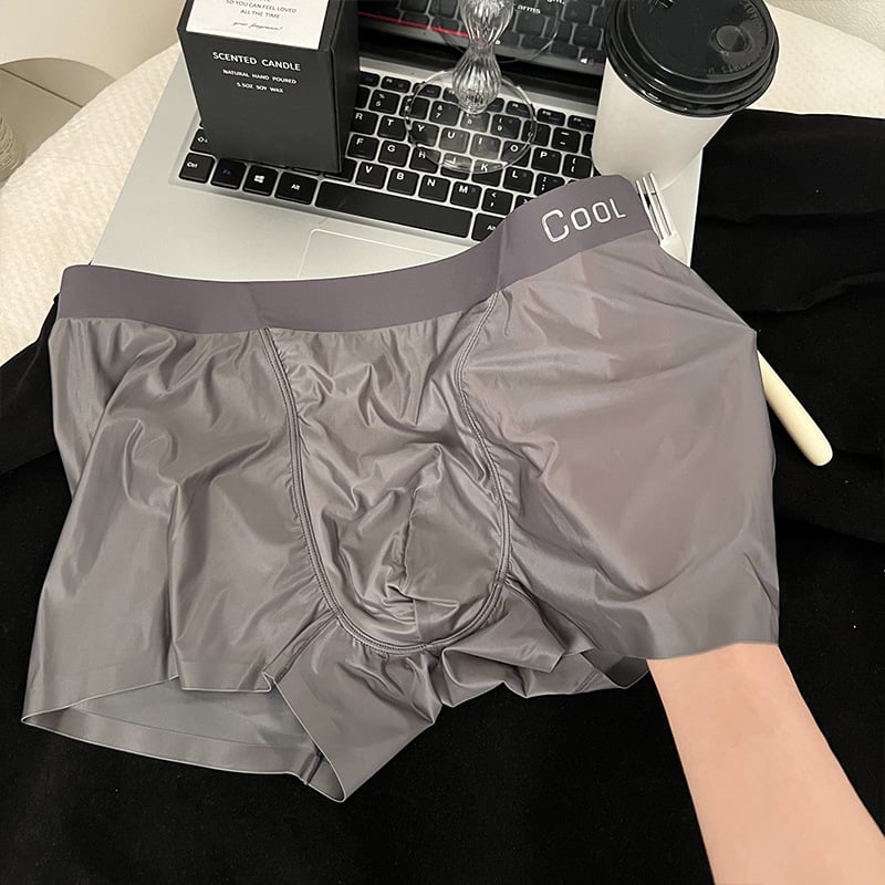 Muške boxerice s povećanim džepom, prozračne Ice Silk najlonom, podstava prepona od viskoze, 61-70d