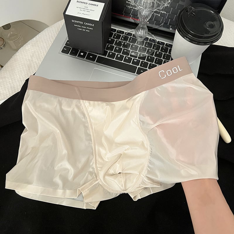 Muške boxerice s povećanim džepom, prozračne Ice Silk najlonom, podstava prepona od viskoze, 61-70d