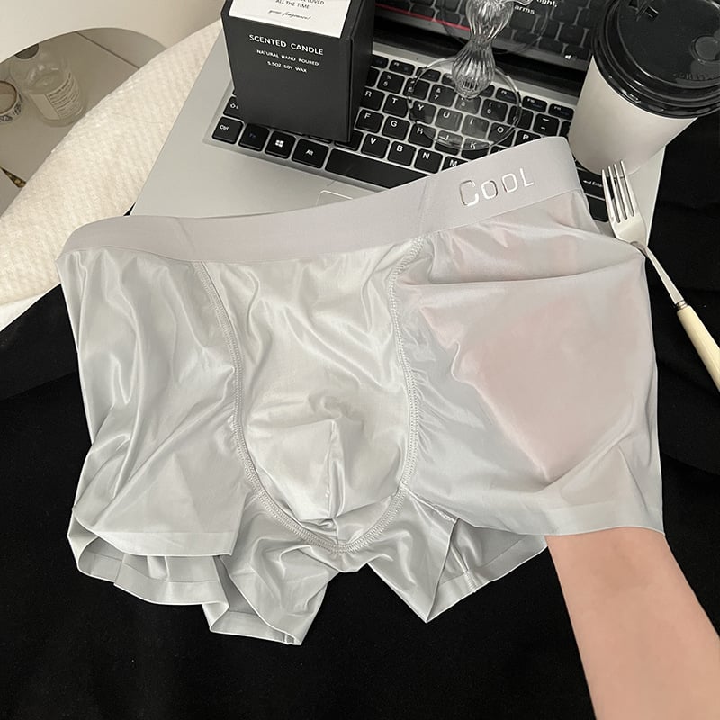 Muške boxerice s povećanim džepom, prozračne Ice Silk najlonom, podstava prepona od viskoze, 61-70d