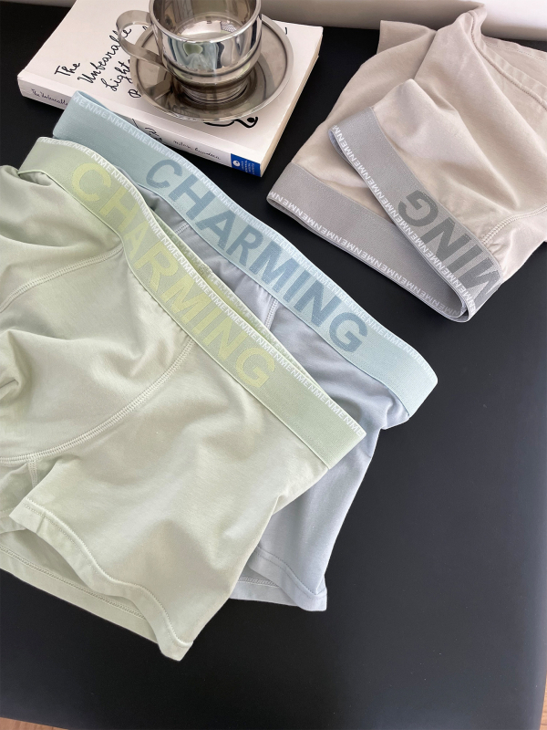 Muške modalne gaćice s U-oblikom džepa, prozračne, srednji pojas, podstava 50–70% viskoz