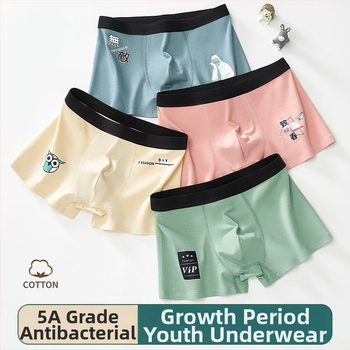 Vyriskos boxer trumpikes, medvilnės mišinio audinys, vidutinio juosmens aukštis, be siūlių, greitai džiūva, kvėpuojančios, stilius C tipo / nematomas