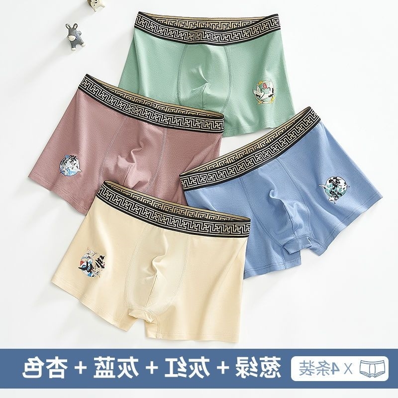 Vyriskos boxer trumpikes, medvilnės mišinio audinys, vidutinio juosmens aukštis, be siūlių, greitai džiūva, kvėpuojančios, stilius C tipo / nematomas