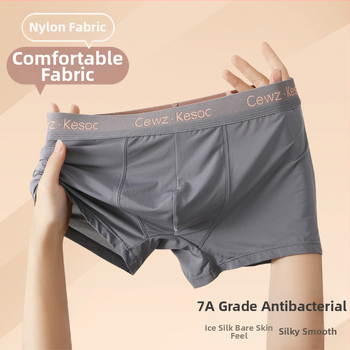 Ανδρικά μποξεράκια από νάιλον Ice Silk – γρήγορο στέγνωμα, διαπνοή, μεσαία μέση, U-σχήματος θήκη, 80-90% νάιλον, επένδυση καβάλου 92% βισκόζη