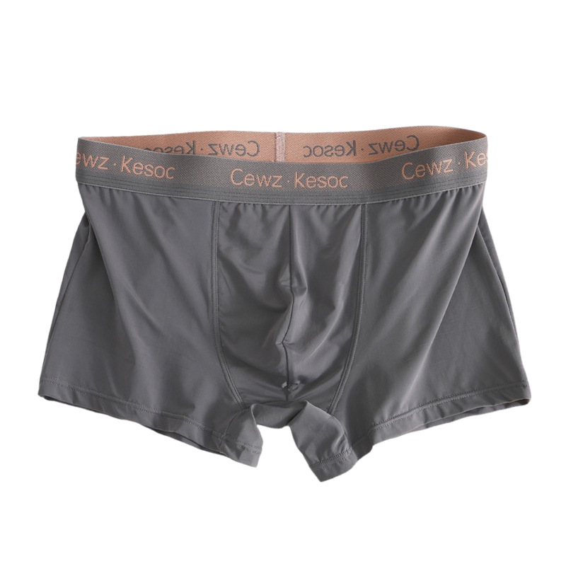 Ανδρικά μποξεράκια από νάιλον Ice Silk – γρήγορο στέγνωμα, διαπνοή, μεσαία μέση, U-σχήματος θήκη, 80-90% νάιλον, επένδυση καβάλου 92% βισκόζη