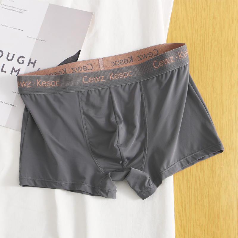 Ανδρικά μποξεράκια από νάιλον Ice Silk – γρήγορο στέγνωμα, διαπνοή, μεσαία μέση, U-σχήματος θήκη, 80-90% νάιλον, επένδυση καβάλου 92% βισκόζη