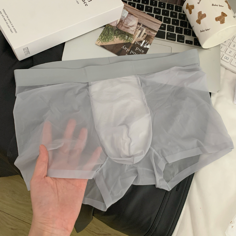 Muške bokserice od Ice Silk, prozračne i brzo sušeće, 3D honeycomb džep, pleteni najlon materijal
