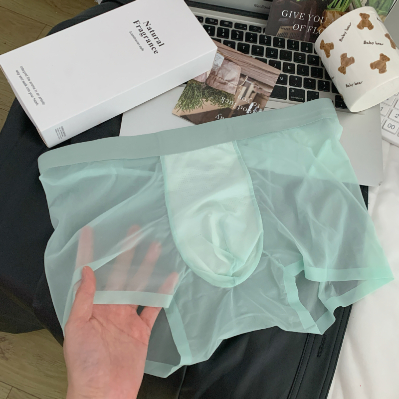 Muške bokserice od Ice Silk, prozračne i brzo sušeće, 3D honeycomb džep, pleteni najlon materijal