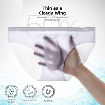 Muške Ice Silk gaćice, prozračne, brzo-sušeće, pleteni najlon, srednji pojas