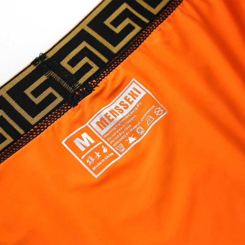 Férfi Brief Ice Silk, 61-70d, kötött anyag, 80-90% nylon, Spandex ágyékvédő