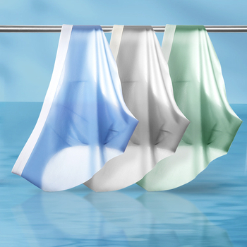 Muške gaćice od najlona – 71D vlakna, brzo sušenje, prozračnost, srednji pojas