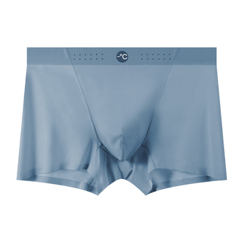 Muške boxerice od Ice Silk, dišuće, brzo se suše, bez šavova, srednji pojas; glavni materijal: najlon; podstava prepona: viskozno vlakno