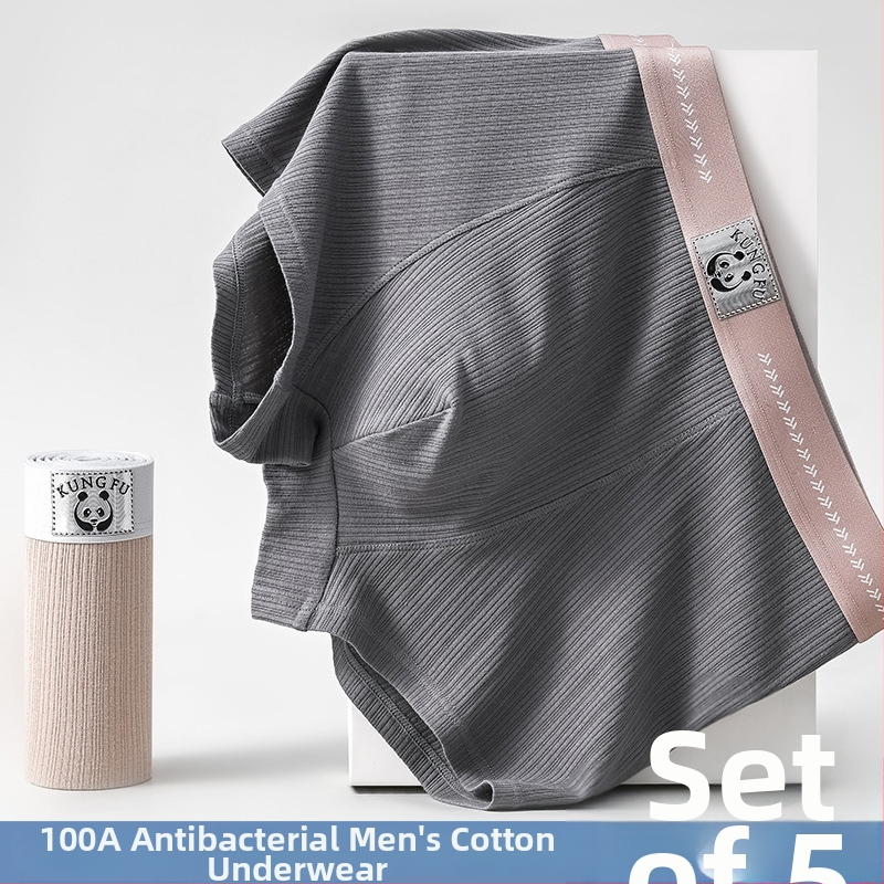 Boxeri bărbați cu imprimeu Panda, din bumbac, antibacterieni, talie medie, respirabili