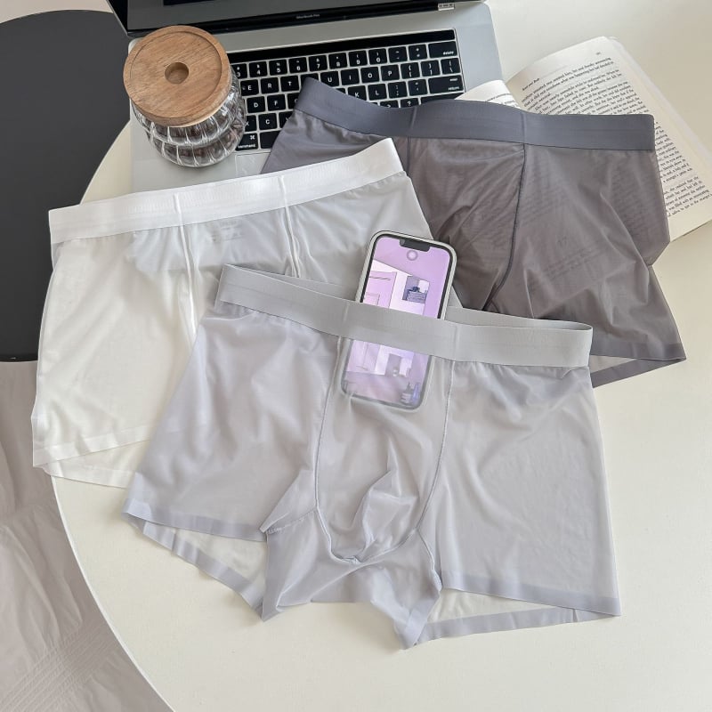 1002#20D Ice Silk muške gaćice, bez šavova, lagane, prozračne, srednji pojas, boxer briefs od jedne komponente