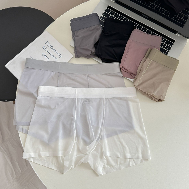 1002#20D Ice Silk muške gaćice, bez šavova, lagane, prozračne, srednji pojas, boxer briefs od jedne komponente