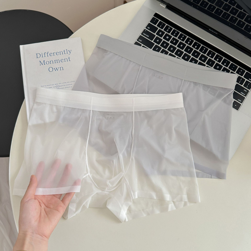 1002#20D Ice Silk muške gaćice, bez šavova, lagane, prozračne, srednji pojas, boxer briefs od jedne komponente