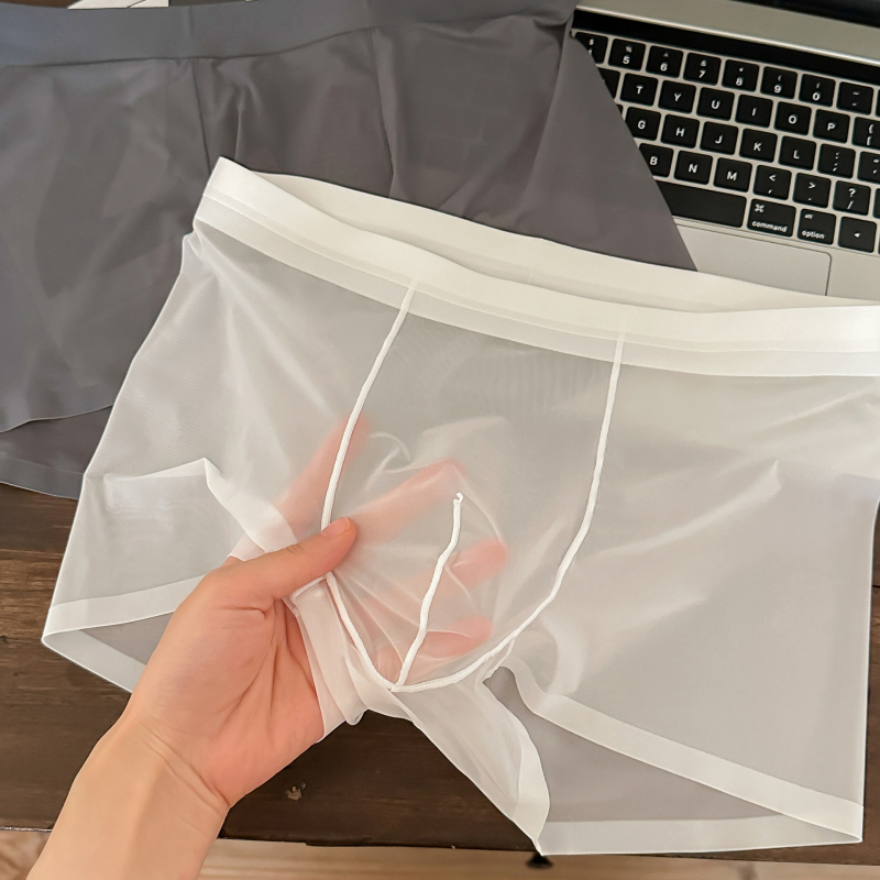 1002#20D Ice Silk muške gaćice, bez šavova, lagane, prozračne, srednji pojas, boxer briefs od jedne komponente