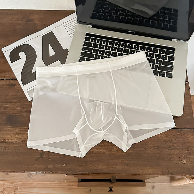 1002#20D Ice Silk muške gaćice, bez šavova, lagane, prozračne, srednji pojas, boxer briefs od jedne komponente
