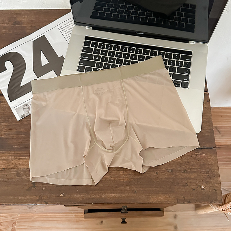 1002#20D Ice Silk muške gaćice, bez šavova, lagane, prozračne, srednji pojas, boxer briefs od jedne komponente