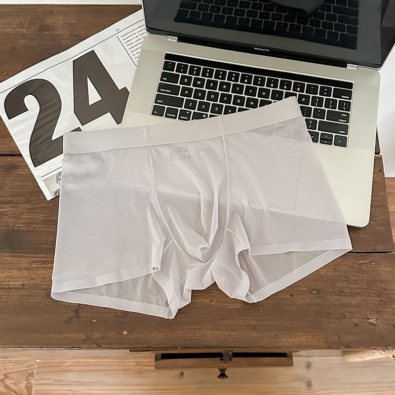1002#20D Ice Silk muške gaćice, bez šavova, lagane, prozračne, srednji pojas, boxer briefs od jedne komponente