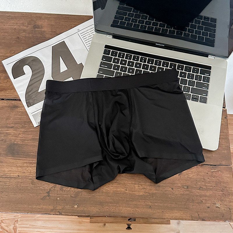 1002#20D Ice Silk muške gaćice, bez šavova, lagane, prozračne, srednji pojas, boxer briefs od jedne komponente