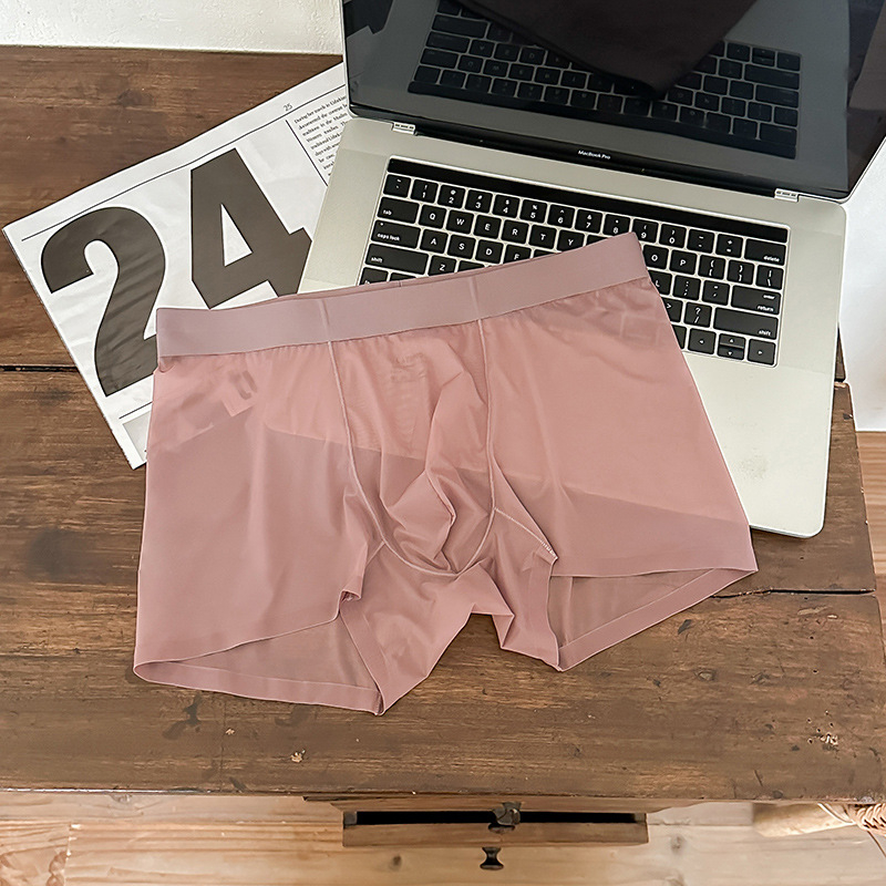 1002#20D Ice Silk muške gaćice, bez šavova, lagane, prozračne, srednji pojas, boxer briefs od jedne komponente