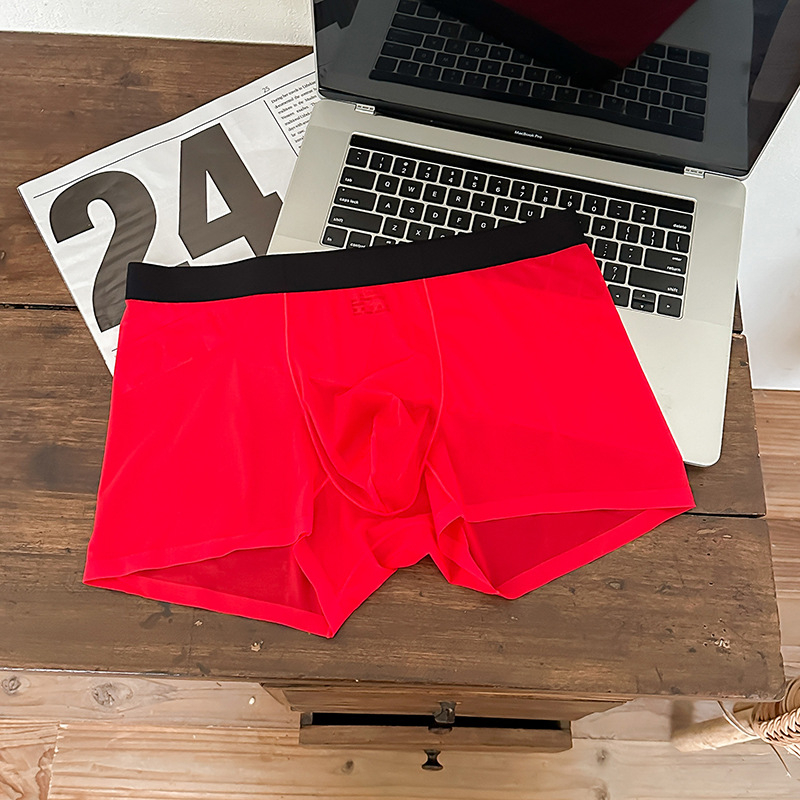1002#20D Ice Silk muške gaćice, bez šavova, lagane, prozračne, srednji pojas, boxer briefs od jedne komponente