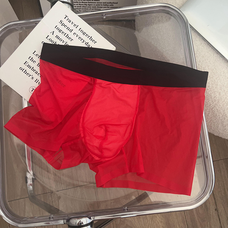 Muške bokserice Ice Silk, prozračne, bezšivne, s 3D ćelijastim džepom