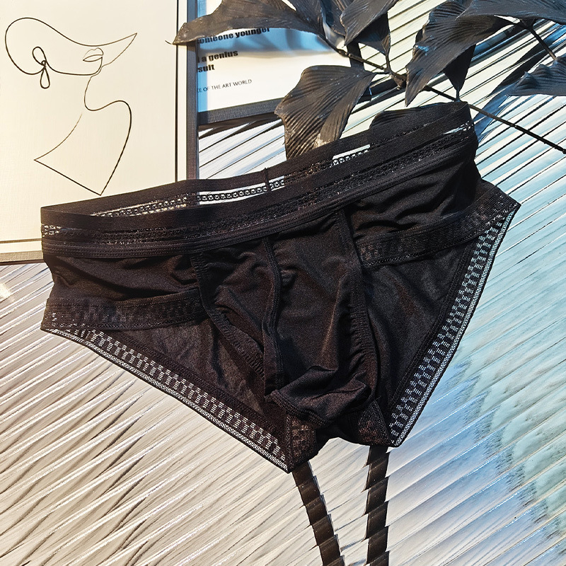 Muške gaćice od ice silk s čipkastim rubom, proziran dizajn, U-oblikovani kontur i prostran prednji džep, boxer briefs, prozračan, europska veličina