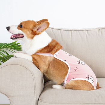 Пелени за женски кучета – копринен външен слой, подплата от зайча козина, средна талия, физиологични нужди