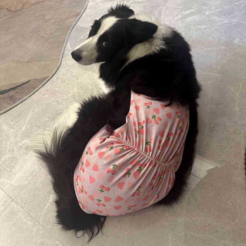 Пелени за женски кучета – копринен външен слой, подплата от зайча козина, средна талия, физиологични нужди