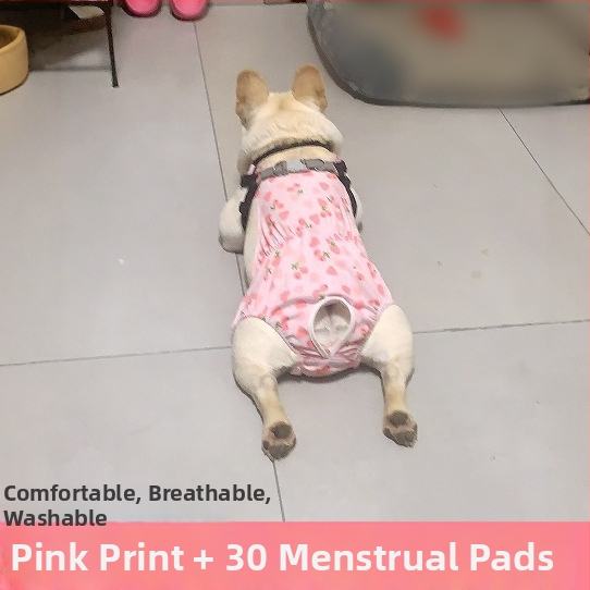 Пелени за женски кучета – копринен външен слой, подплата от зайча козина, средна талия, физиологични нужди