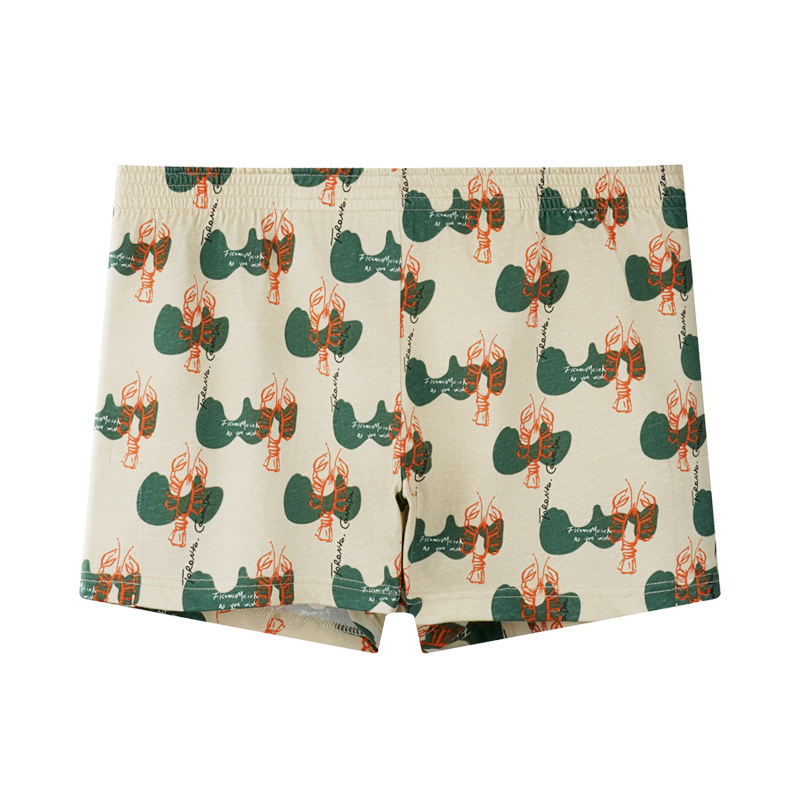 Muške boxerbriefs od 100% pamuka, slobodnog kroja, srednje visine pojasa, prozračne, s cvjetnim uzorkom